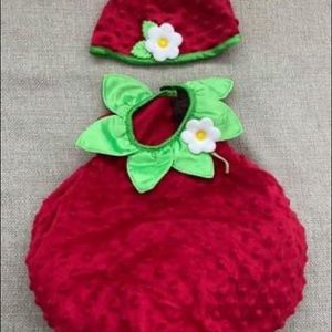 Baby Strawberry Costume